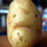 baldpotato