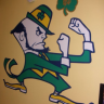 FightingIrish9478