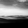 Shane Thomson