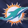 Dolphins_Fan