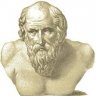 Diogenes Pontifex