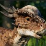 TheStygimoloch