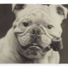 rfernand