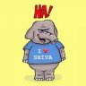 Shiva Shiva