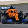 TheF1dude