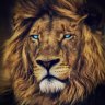 khaled.ch