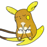 choco.raichu