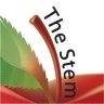 TheStemGroup