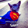 superkittyradio