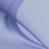 scatternet