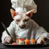 sushicat