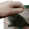GenericUsernameAboutiOS17