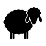 BlackSheepAz