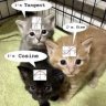 awesomecat