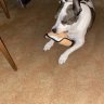 Onlyuseapple