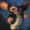 Gizmo22