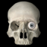 sakrist