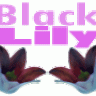 BlackLilyNinja
