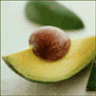 el_avocado