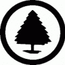 Pine-Tree