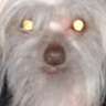 cfretts