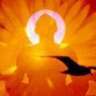 karmic Teacher