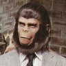 MagicSpaceApe