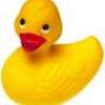 YellowDuck