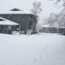 snow7551