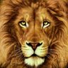 Larry_Lion