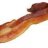 baconcactus