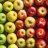 FruitMonger3