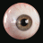 MyLittleEye