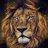 khaled.ch
