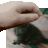GenericUsernameAboutiOS17