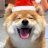 A DOG