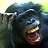 Gorilla Power