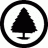 Pine-Tree