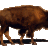 burrzoo