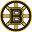 Bruins Fan