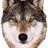 White Wolf