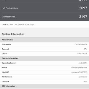 Screenshot_20240815_202718_Geekbench AI.jpg