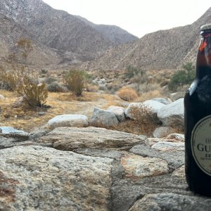 Borrego-Palm-Canyon-Campground.jpg