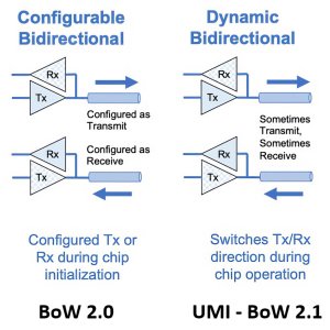 eliyan-uci-bow-umi.jpg