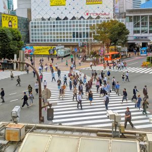 Shibuya.jpg