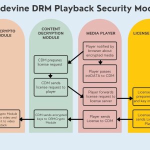 Widevine-DRM-playback-security-model.jpg