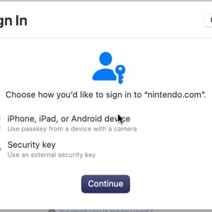 NintendoPasskey.jpg