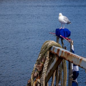 Millport20110814.jpg