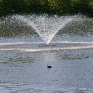 Relaxing With the Rhythm of the Fountain.jpeg