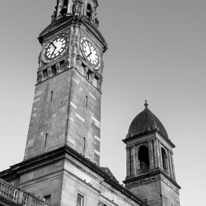 Paisley20240907 2.jpg